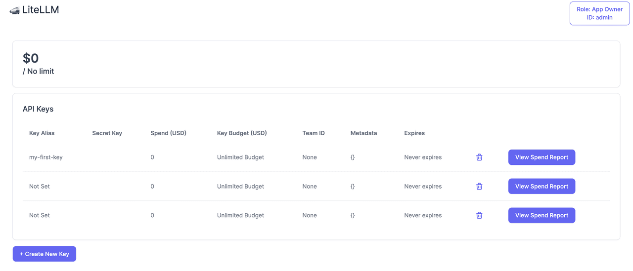 LiteLLM administration interface showing API-key aliases, spending, budgets, expiry, spend-report buttons and Create New Key.