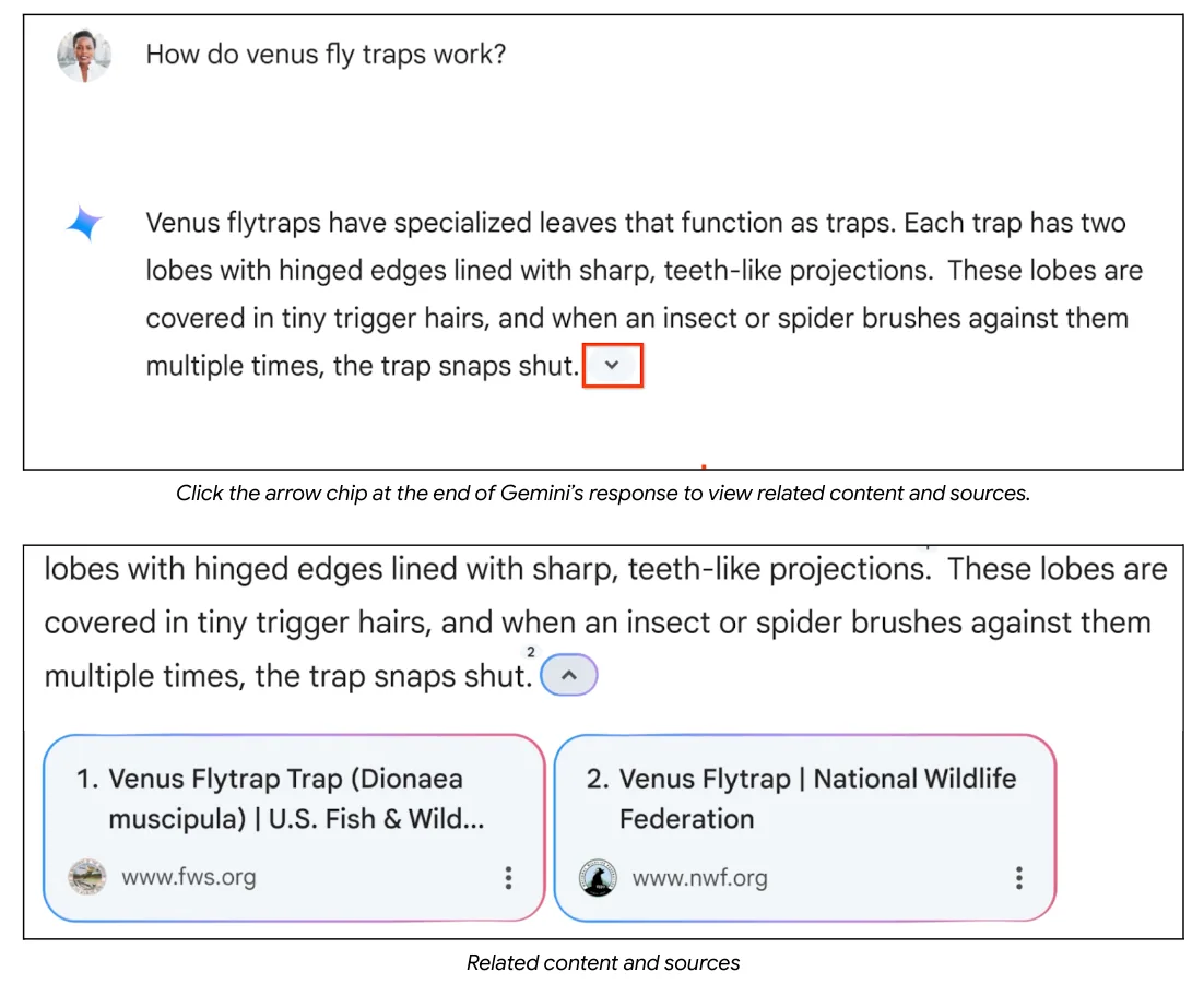 A Gemini answer about how venus flytraps work, with an arrow chip at the end of the response that expands into a "Related content and sources" panel listing two cited websites.